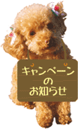 汐田電設キャンペーンのお知らせ